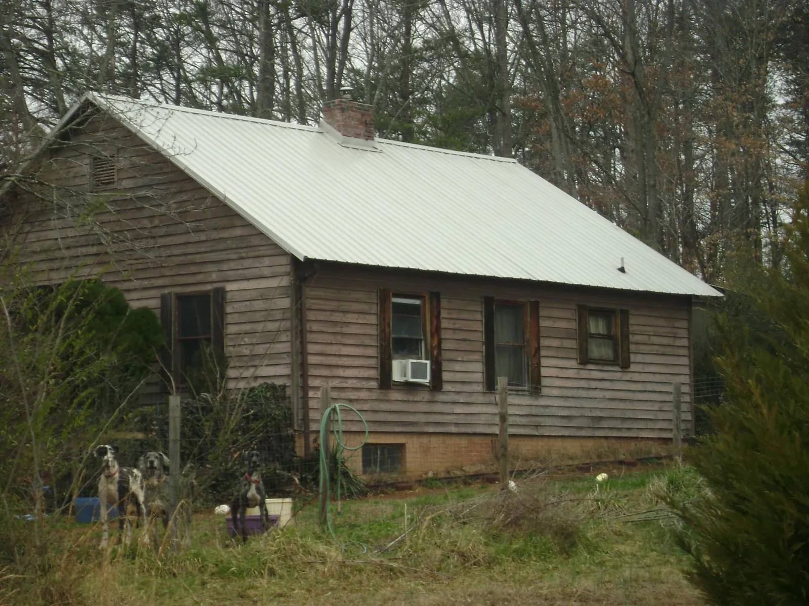 White metal roof on an old wood sided farmhouse, from a Asphalt Shingle Roof Repair job in East Greenwich